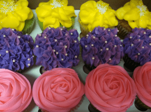 (Foto: Reprodução / ecoronado.com) 